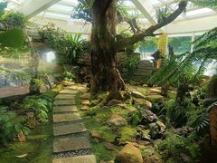 -昆明植物园