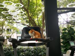-VPsmart私教健身工作室(新华路旗舰店)