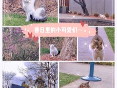 -静安雕塑公园