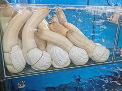 -蚝专家(北滘店)