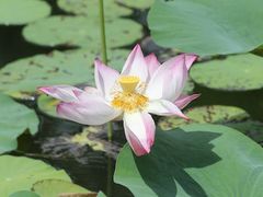 -维乐口腔医院(星海湾分院)
