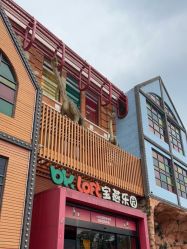 -宝燕乐园(闵行旗舰店)