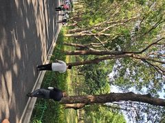 -东莞植物园