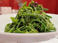 -藏素风格餐厅(大兴店)