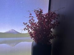 -番茄按摩·影院足道·柔足SPA(龙之道国顺路店)