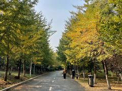 -长白岛森林公园