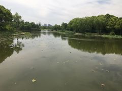 -新江湾城公园