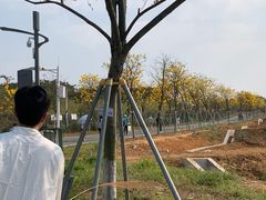 -光明小镇欢乐田园