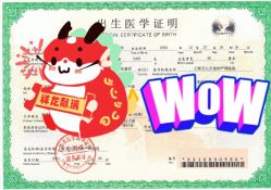 -上海艾儿贝佳妇产科医院