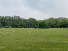 -艾溪湖湿地公园