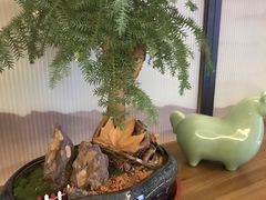 -素慧餐厅(大虹桥店)