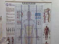 -脊地脊柱·运动康复·体态(汇海店)