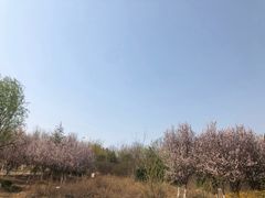 -二钢串叔麻辣烫(华龙大厦店)