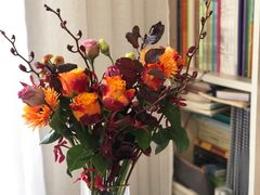 -Flower in(密渡桥店)