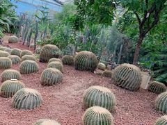 -呀路古热带植物园