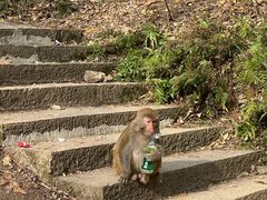 -黔灵山公园