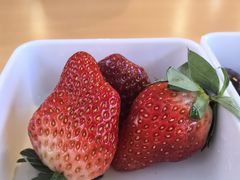 -悠然湯·汗蒸汤泉会馆