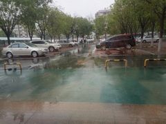 -麦当劳(红旗路店)
