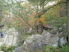 -崂山巨峰游览区
