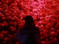 -多彩贵州城极地海洋世界