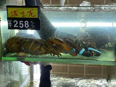 水产区-覃记海鲜美食餐厅