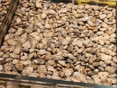 -浩运·海鲜青岛菜·海胆水饺(石老人店)