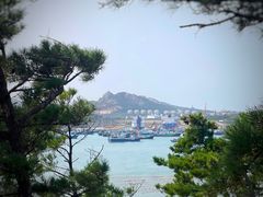 -摩天岭风景区
