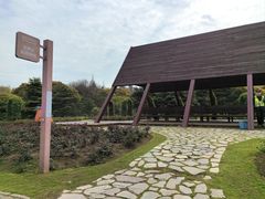 -上海滨江森林公园