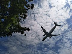 -空港花田景区