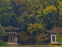 -杭州植物园