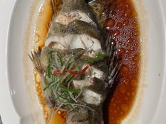 清蒸桂鱼-伙靠·江浙菜(田林路店)