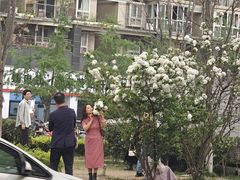 -大龙山(地铁站)