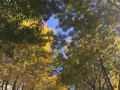 -北京国家会计学院