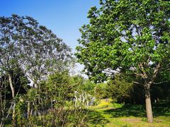 -长春公园(普阳街道)