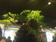 -宴桃园(门头沟店)