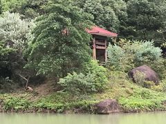 -广州白江湖森林公园