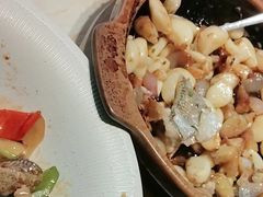 -点都德·毕德寮