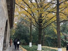 -灵谷景区