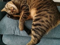 -宠颐生动物医院·心脏科·保险定点(锦阳分院)