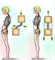 -水沐莲清瑜伽·普拉提