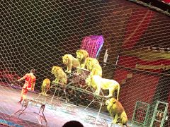 -珠海横琴长隆《卡卡虎奇遇记》