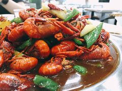 -苏州藏书羊肉(田东路店)