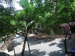 -古真记钵钵鸡(总店)