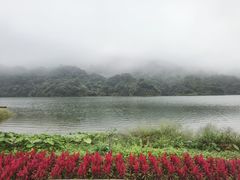 -广州市石门国家森林公园