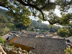 -杨家堂村