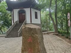 -上海佘山国家森林公园天马山园