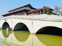 -大湾区中央湿地公园
