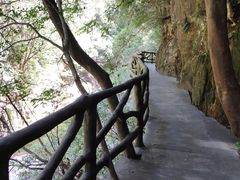 -花岩国家森林公园