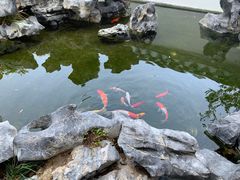 -道南書院·私房菜·早午茶·茶馆