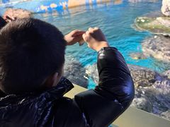 -烟台海昌鲸鲨海洋公园